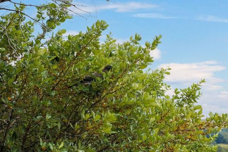 Photo of property in 11 Kohu Place, Halfway Bush, Dunedin, 9010