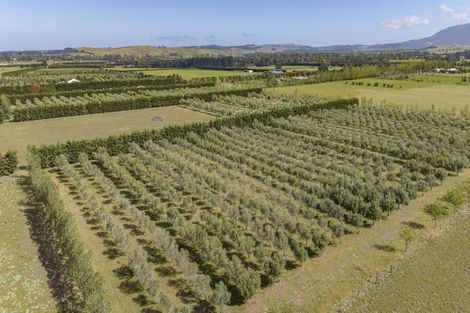 Photo of property in 206 Mount Brown Road, Glasnevin, Amberley, 7482