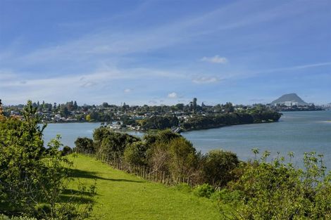 Photo of property in 10 Taumata Place, Hairini, Tauranga, 3112