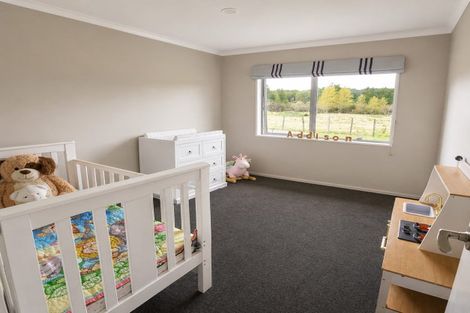 Photo of property in 1209 Blair Road, Moana, Dobson, 7872