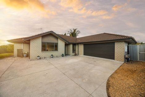 Photo of property in 3 Arie Lane, Flagstaff, Hamilton, 3210