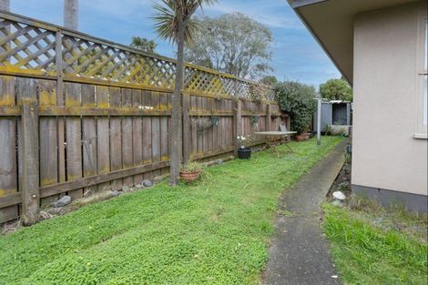 Photo of property in 51a Mcgrath Street, Napier South, Napier, 4110