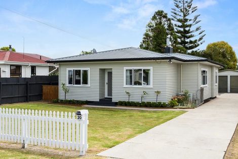 Photo of property in 20 Elm Street, Mangapapa, Gisborne, 4010