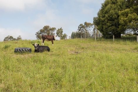 Photo of property in 90 Stagecoach Road, Upper Moutere, 7173