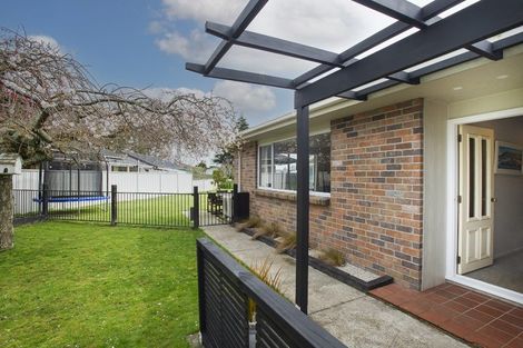 Photo of property in 14 Wrigley Place, Matamata, 3400