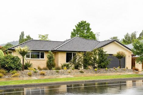 Photo of property in 15 Mako Street, Richmond, 7020