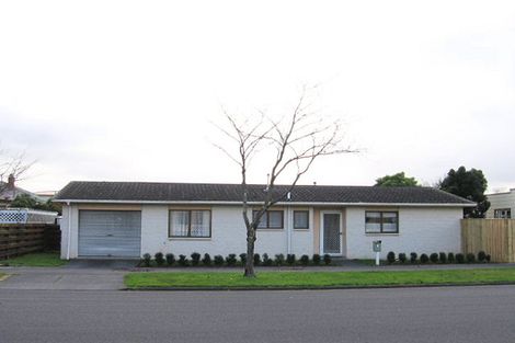 Photo of property in 98 Havill Street, Takaro, Palmerston North, 4410