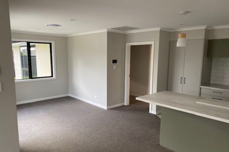 Photo of property in 56d Harrison Street, Allenton, Ashburton, 7700