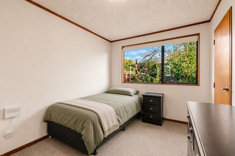 Photo of property in 33a Otumoetai Road, Judea, Tauranga, 3110