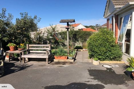 Photo of property in 50 Mayfield Avenue, Wakari, Dunedin, 9010