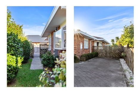 Photo of property in 19 Reilly Avenue, Mount Maunganui, 3116