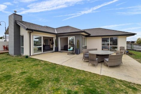 Photo of property in 8 Trent Place, Huntingdon, Ashburton, 7774