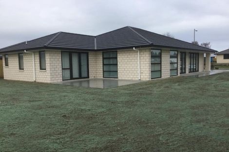 Photo of property in 3 Moroney Place, Matamata, 3400