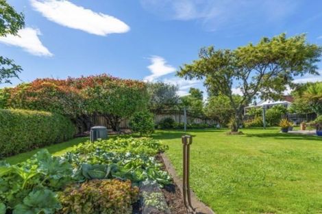 Photo of property in 8 Paehoro Grove, Turangi, 3334