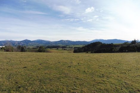 Photo of property in 294 Downs Road, Geraldine Downs, Geraldine, 7991