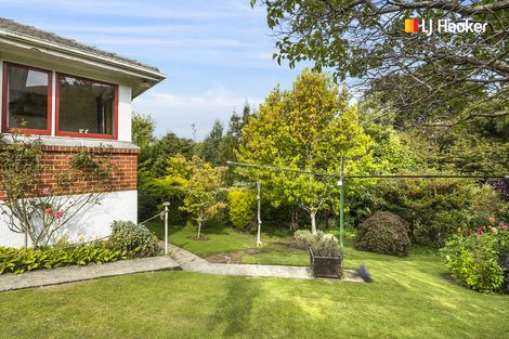 Photo of property in 5 Broomlea Street, Wakari, Dunedin, 9010