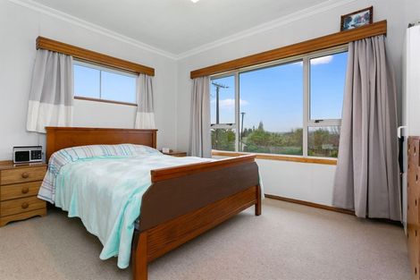Photo of property in 52 Neal Street, Putaruru, 3411