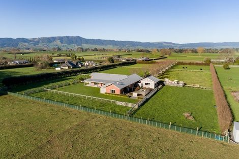 Photo of property in 555 Taihoa South Road, Matamata, 3473