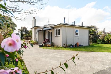 Photo of property in 11 Bond Street, Marton, 4710