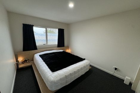 Photo of property in 12/30 Mathesons Road, Phillipstown, Christchurch, 8011