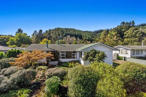 Photo of property in 51 Porritt Drive, Kawerau, 3127