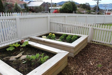 Photo of property in 53 Hawthorn Avenue, Mornington, Dunedin, 9011