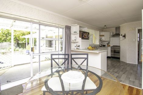 Photo of property in 39 Snowdon Avenue, Terrace End, Palmerston North, 4410