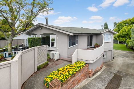 Photo of property in 17 Queenwood Avenue, Queenwood, Hamilton, 3210