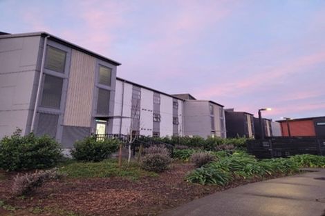 Photo of property in 304/28 Shortfin Place, Flat Bush, Auckland, 2019