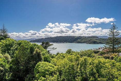 Photo of property in 124 Te Anau Road, Hataitai, Wellington, 6021