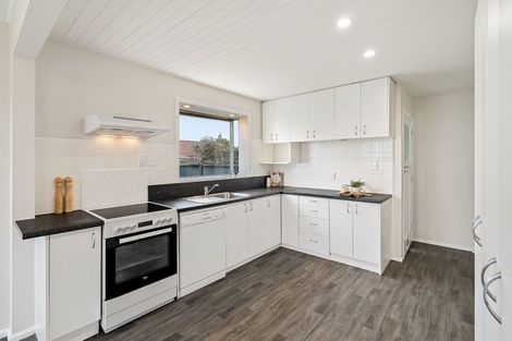 Photo of property in 133 Buchanans Road, Hei Hei, Christchurch, 8042