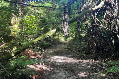 Photo of property in 3b Fort Street, Cambridge, 3434