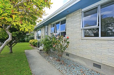 Photo of property in 22 Mckeefry Avenue, Greenmeadows, Napier, 4112