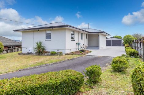 Photo of property in 772 Mahoe Street, Te Awamutu, 3800