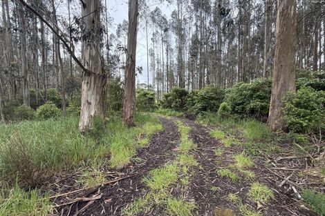 Photo of property in 31 Manse Road, Progress Valley, Tokanui, 9884