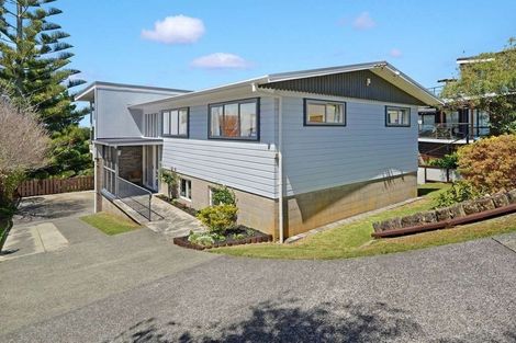 Photo of property in 51 Sunset Road, Totara Vale, Auckland, 0632