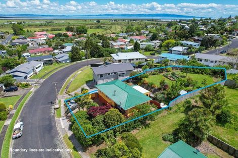 Photo of property in 105 Bowen Place, Thames, 3500