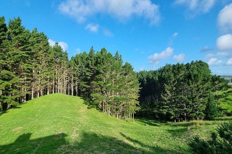 Photo of property in 132b Dormer Road, Waitoki, Helensville, 0875