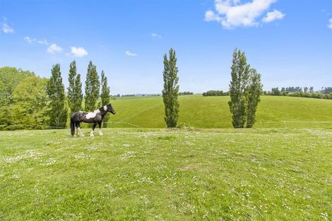 Photo of property in 457 Rosebrook Road, Claremont, Timaru, 7974