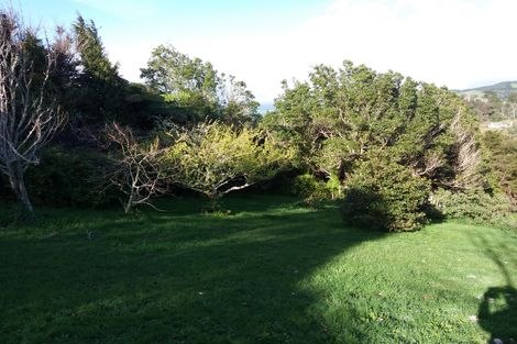 Photo of property in 117 Bulltown Road, Waihi, 3610