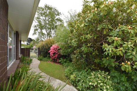 Photo of property in 99 Melbourne Street, Windsor, Invercargill, 9810