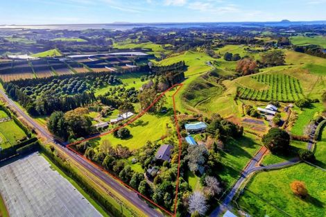 Photo of property in 399 Wainui Road South, Whakamarama, Katikati, 3181