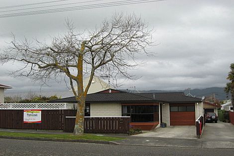 Photo of property in 132 Winchester Street, Levin, 5510