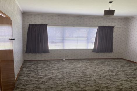 Photo of property in 46 Haultain Street, Fairfield, Hamilton, 3214