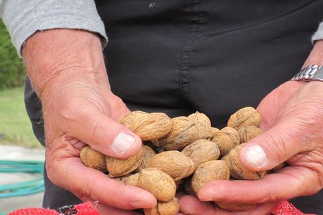 Photo of property in 101 Main North Road, Geraldine, 7930