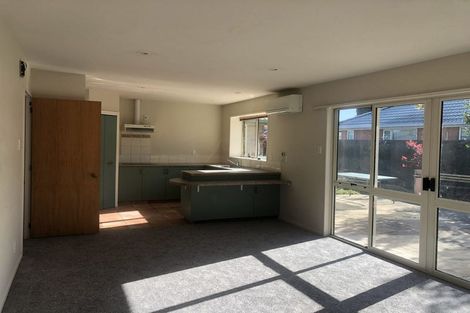 Photo of property in 45 Showgate Avenue, Sockburn, Christchurch, 8042
