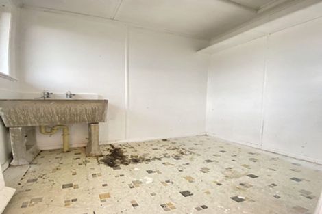 Photo of property in 51 Potter Avenue, Northcote, Auckland, 0627