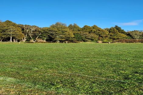 Photo of property in 5 Robson Court, Gate Pa, 3112