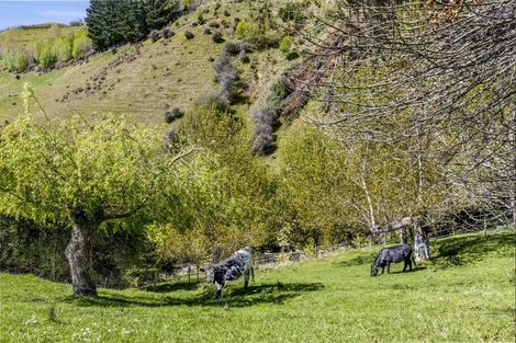 Photo of property in 583 Hill Street South, Hope, Richmond, 7081