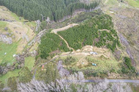 Photo of property in 133 South Road, Solway, Masterton, 5810